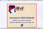 [AFeF - Associazioni Feline Federate]