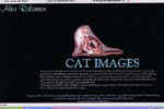 [Cat images by Alan Robinson]