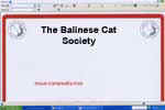 [The Balinese Cat Society]