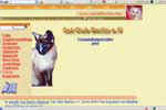 [Cat Club de Berlin]