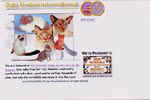 [Cats United Intenational]