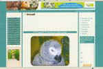 [Cyber animaux]
