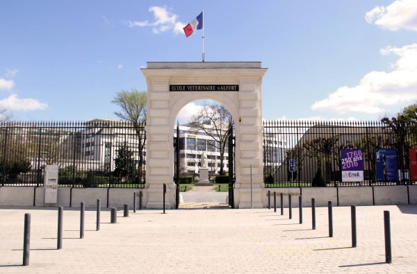 Ecole vtrinaire de Maisons-Alfort